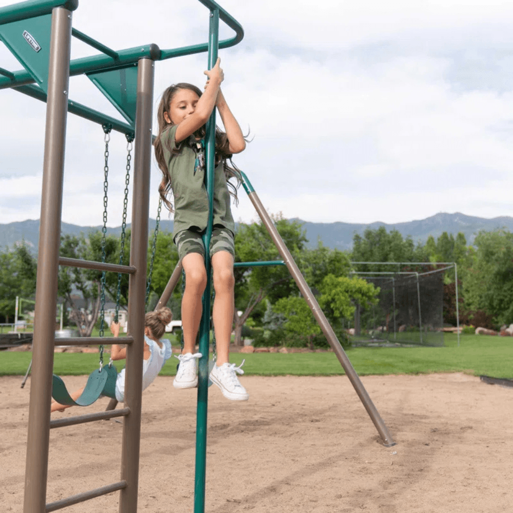 Lifetime Powder Coated Steel Swing Set with 4 Swing(s) , 1 Slide(s)