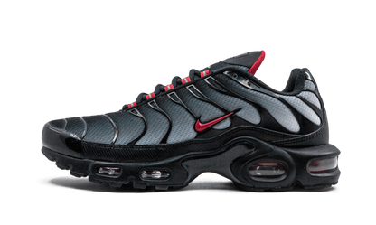 Air Max Blue Plus and Red