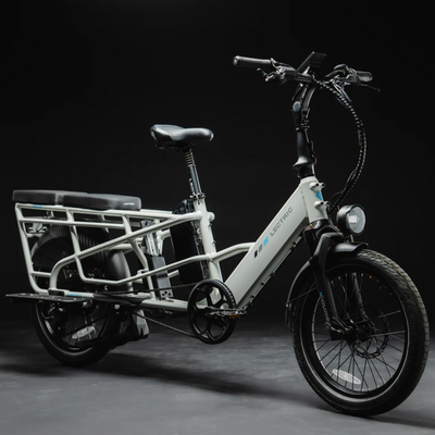 XPedition 2.0 Long-Range Dual-Battery eBike