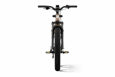 Aventon Aventure 3 Step-Through for E-bike