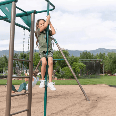 Lifetime Powder Coated Steel Swing Set with 4 Swing(s) , 1 Slide(s)