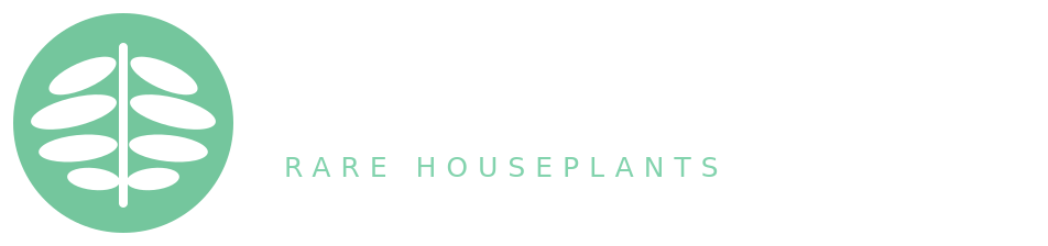 Shaqwaya Living